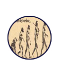 Evolución
