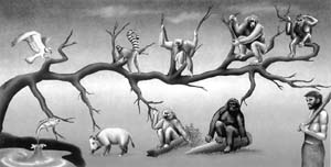 cienevolucion.jpg (300×152)