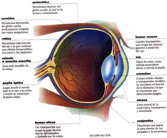 ojo1.jpg