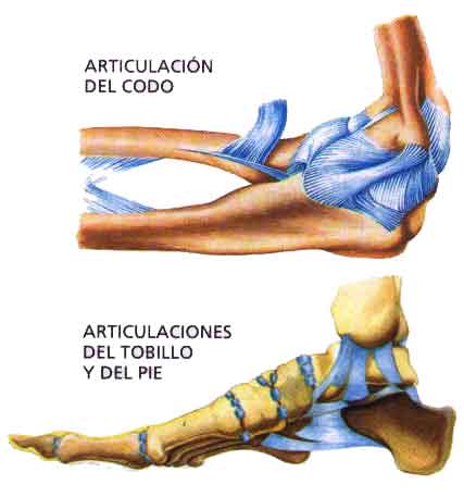 componentes del cigarrillo. poseen componentes